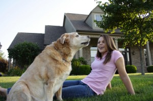 Pet Insurance Pros and Cons
